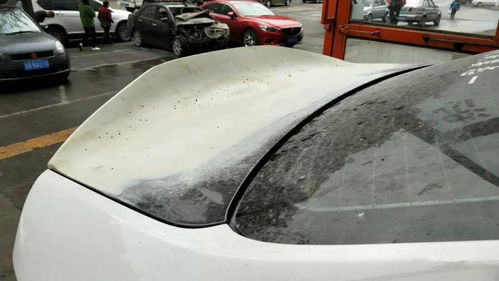 全國(guó)首例起亞k2寬體改裝車,小眾車也能玩出自己的風(fēng)格