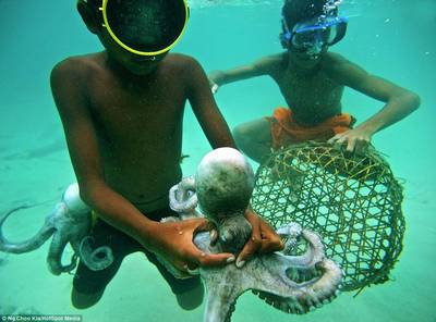 漂泊與連接 巴夭人的海上日常與現代陸路國際貨運代理業務