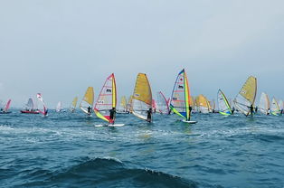 海上揚(yáng)帆，陸路通達(dá) 國際貨運(yùn)代理業(yè)務(wù)的雙重變奏