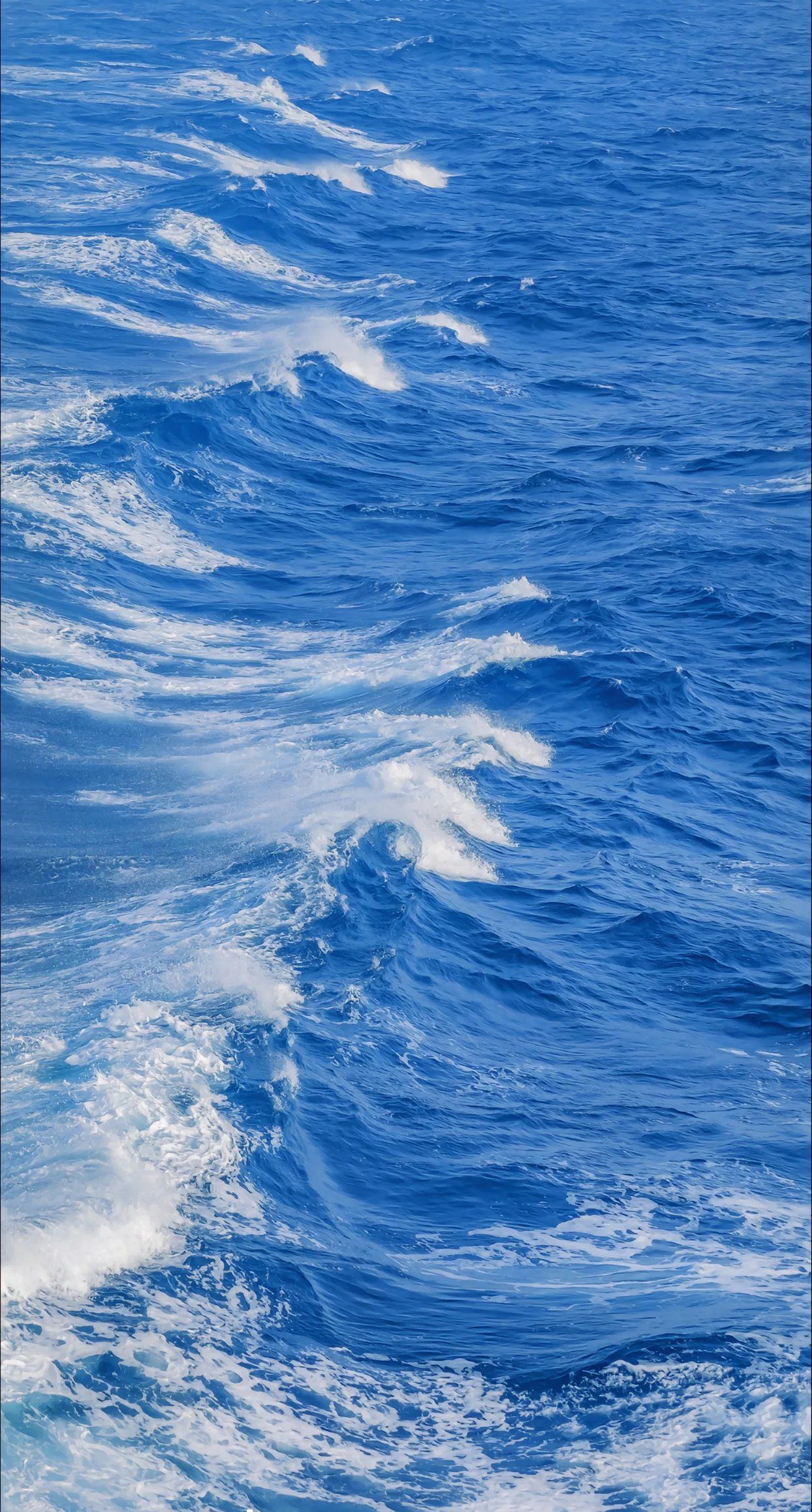 海上漂，心飛揚(yáng)——探索陸路國際貨運(yùn)代理業(yè)務(wù)的獨(dú)特魅力